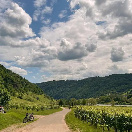 Wohnen Am Weingut - Auf Dem Ausguck דירה *