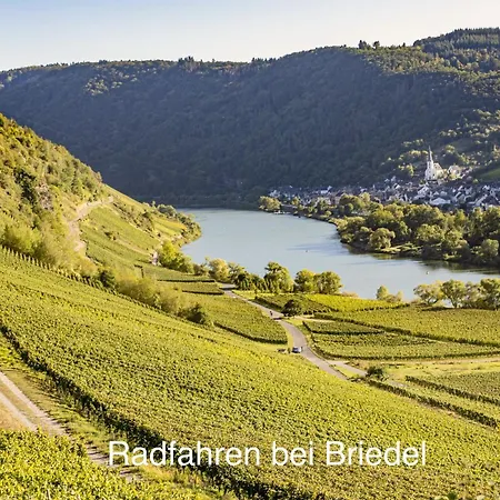 דירה Wohnen Am Weingut - Auf Dem Ausguck *
