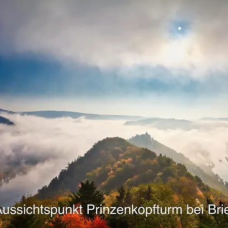 Wohnen Am Weingut - Auf Dem Ausguck Apartman Briedel